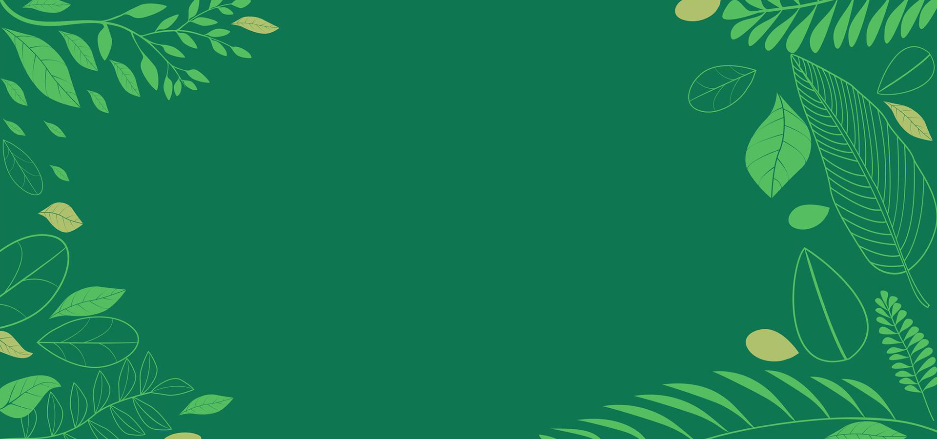 banner_bg-2.jpg
